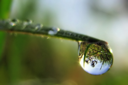 Raindrop