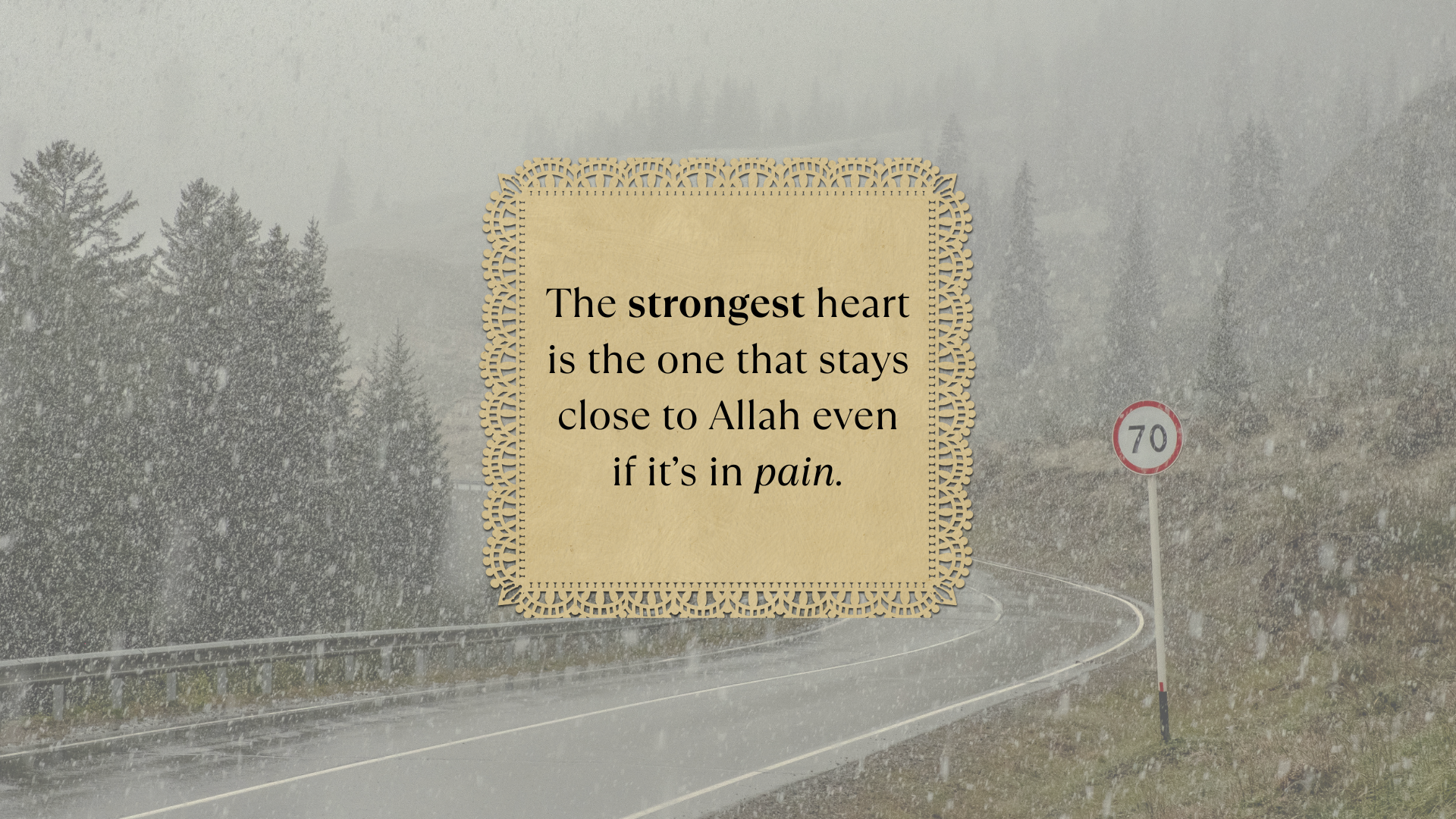 Copy of Pink and Red Modern Cute Bird Floral Desktop Wallpaper (2)