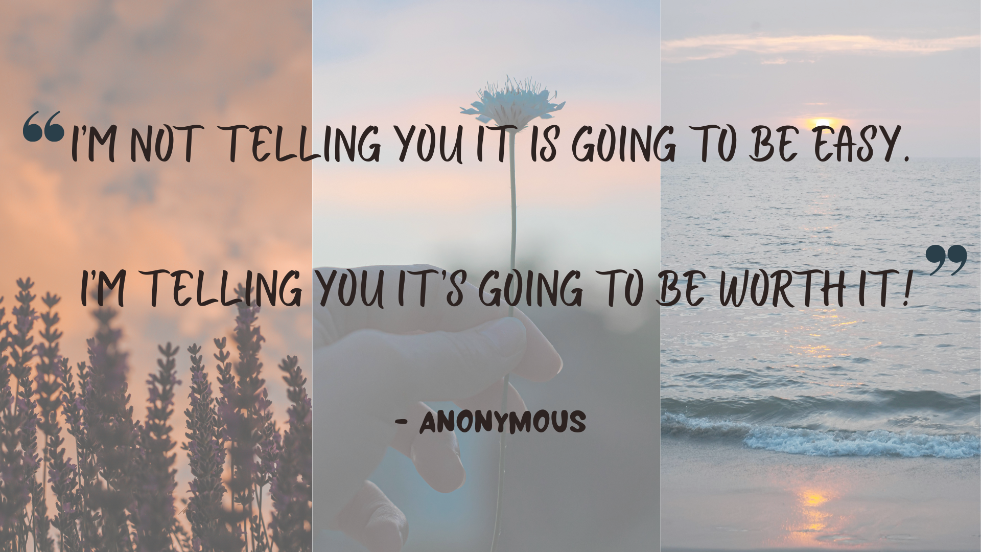 Quote for Stb 5